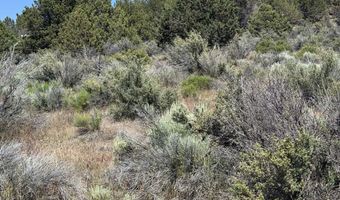Medicine Mountain Drive 1, Beatty, OR 97621