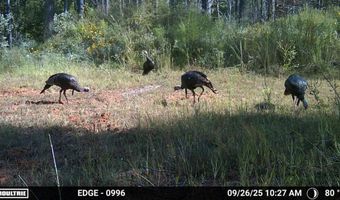 Hwy 9, Bruce, MS 38915