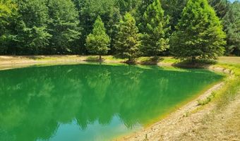 14400 Pikewood Dr, Alexander, AR 72002