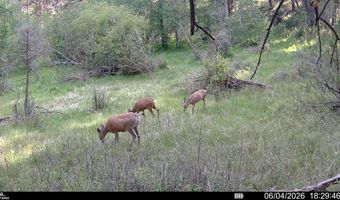 Powerline Road, Boulder, MT 59632