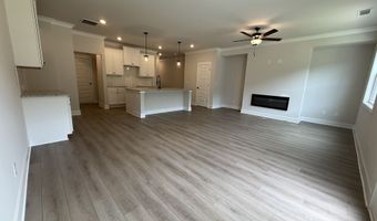 317 Brook Landing Cir, Auburn, GA 30011