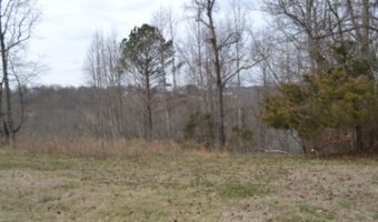 Fox Hill Road lot 4 & 5, Baxter, TN 38544