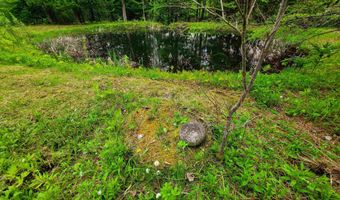 5897 VT-102, Bloomfield, VT 05905