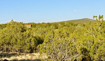 37 Co Rd N8174 10.1 Acres, Concho, AZ 85924