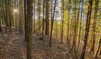 El Camino Real lot 35, Angel Fire, NM 87710