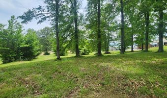 Overlook Ridge, Big Sandy, TN 38221