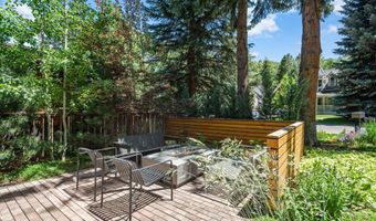 614 W North St, Aspen, CO 81611