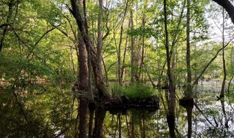 AMBOY RD, Arabi, GA 31712
