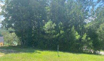 ARLEY LANDING lot # 12, Arley, AL 35541