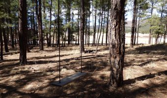 8 B County Road 2267 Escudilla Rd, Alpine, AZ 85920
