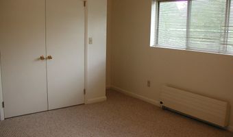 405 Park Ave #A6, Basalt, CO 81621