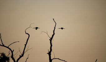 Bolivar Road, Benoit, MS 38725