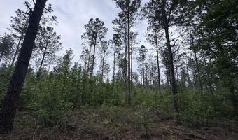 167 E W Morgan, Arcadia, LA 71001