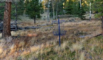 516 Saguache Dr, Florissant, CO 80816