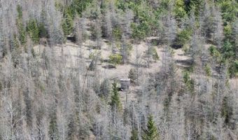 5280 Cathro Rd, Alpena, MI 49707