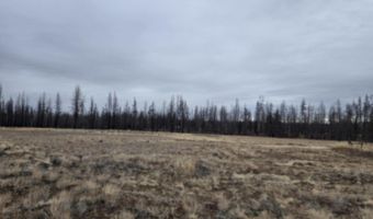 Bull Pine Road 173 Acres, Bly, OR 97622