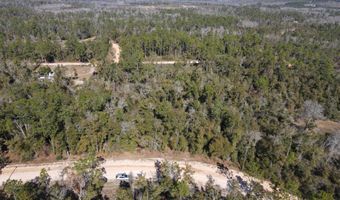 Trenton Avenue, Alford, FL 32420