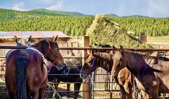 27502 US Highway 64 Roadrunner Tours, Angel Fire, NM 87710