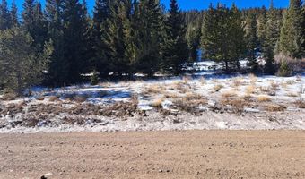 3553 RIVER Dr, Alma, CO 80420