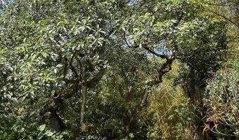 50 Pauwela Rd A, Haiku, HI 96708