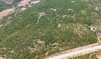 12190 Highway 7, Allenspark, CO 80510