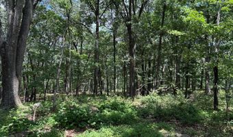 82 CABIN Rd, Augusta, WV 26704