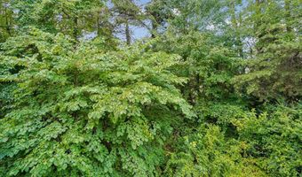 5569 JOWETT Ct, Alexandria, VA 22315