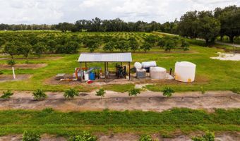 SW CARLTON Avenue, Arcadia, FL 34266