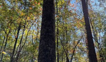 0 Hwy 8, Aberdeen, MS 39730