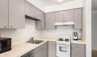 115 Boomerang Rd 5309, Aspen, CO 81611
