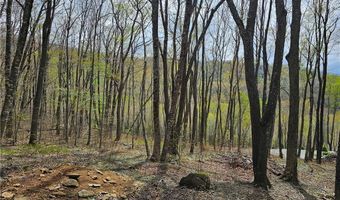 65 Rippling Waters Trl, Banner Elk, NC 28604