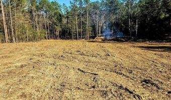 11040 County Road 138, Bay Minette, AL 36507