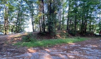 0 Cooter Creek Rd, Elberton, GA 30635