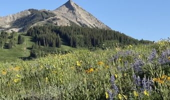Tdr TDR, Aspen, CO 81611