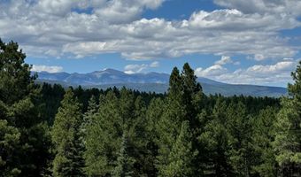 Lot 458 San Mateo, Angel Fire, NM 87710