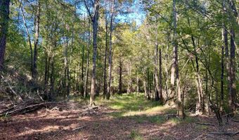0 Lloyd Mill Rd, Andalusia, AL 36421