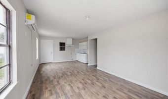 1239 W Ivy Ave, Alamo, TX 78516