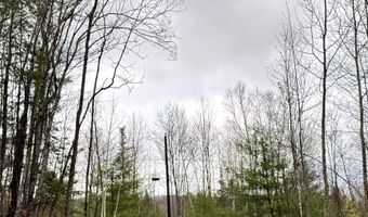 61 Thorn Hill Rd, Bethlehem, NH 03574