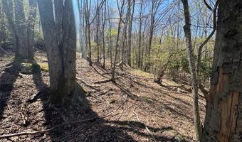 62 Acres Buckeye Ridge Rd, Beech Mountain, NC 28604