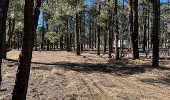 CR N2121, Alpine, AZ 85920