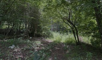 TBD Paint Fork Rd, Barnardsville, NC 28709