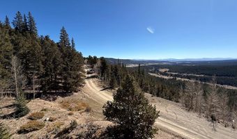 0 County Road 787, Alma, CO 80420