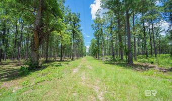 0 County Road 86, Bay Minette, AL 36507