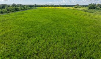 21737 Keno Rd, Abbeville, LA 70510
