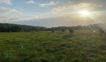 1307 Route Af, Ava, MO 65608