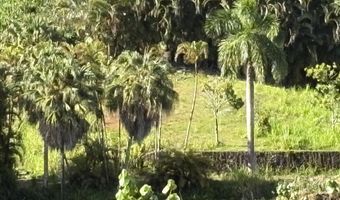6631- A KIPAPA Rd, Kapaa, HI 96746