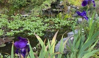 1121 YEUST Rd, Azalea, OR 97410