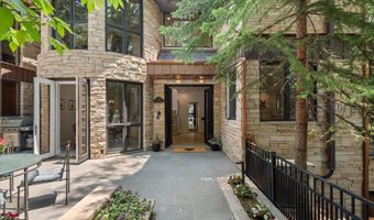 736 W Smuggler St, Aspen, CO 81611