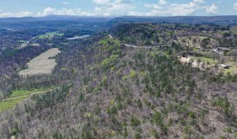 5810 431 S, Attalla, AL 35954