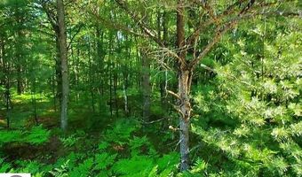 Hillside Drive lot 62, Alger, MI 48610